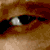 sne_2.gif