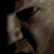 sne_5.gif